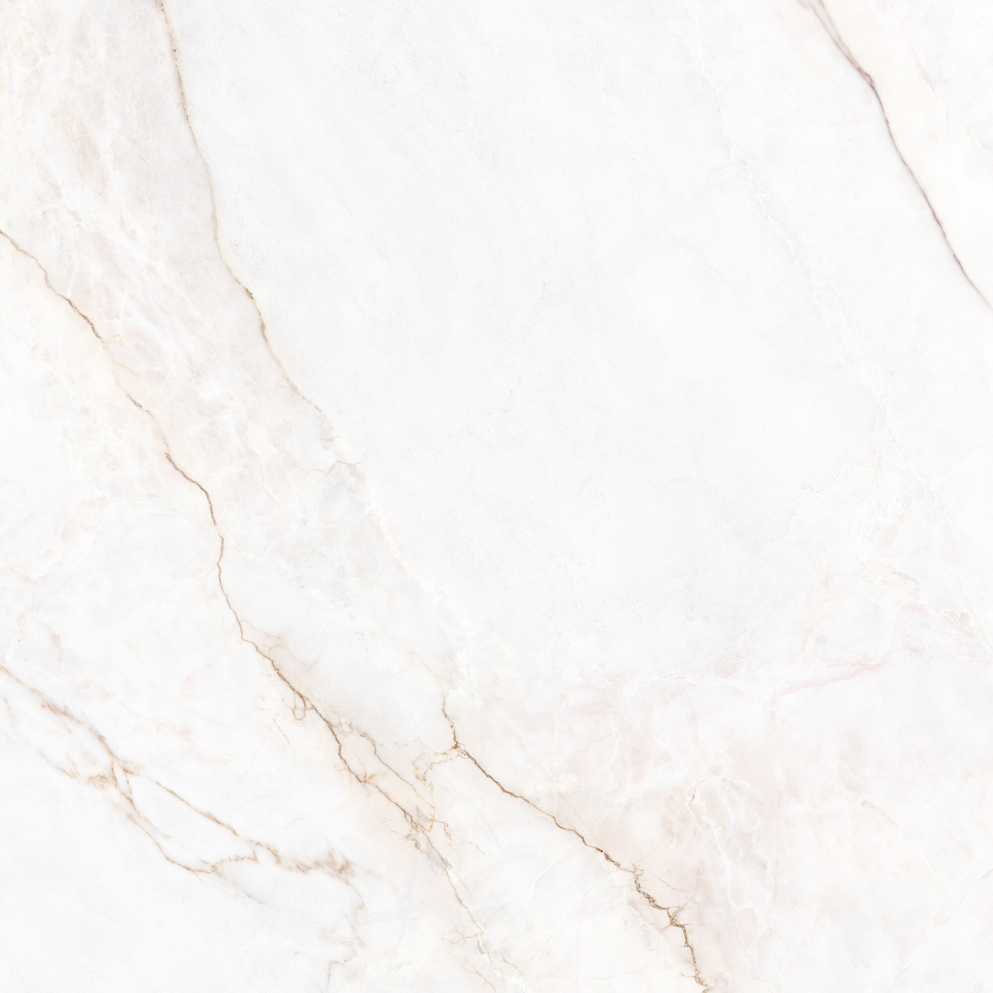 41431 На пол Museum Dahlia White SP/100X100X0.8/R 100x100 - фото 14