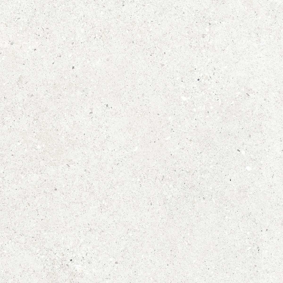 CR6060G0471R На пол Perla Bianco светло-серый матовый 59.5х59.5 - фото 2