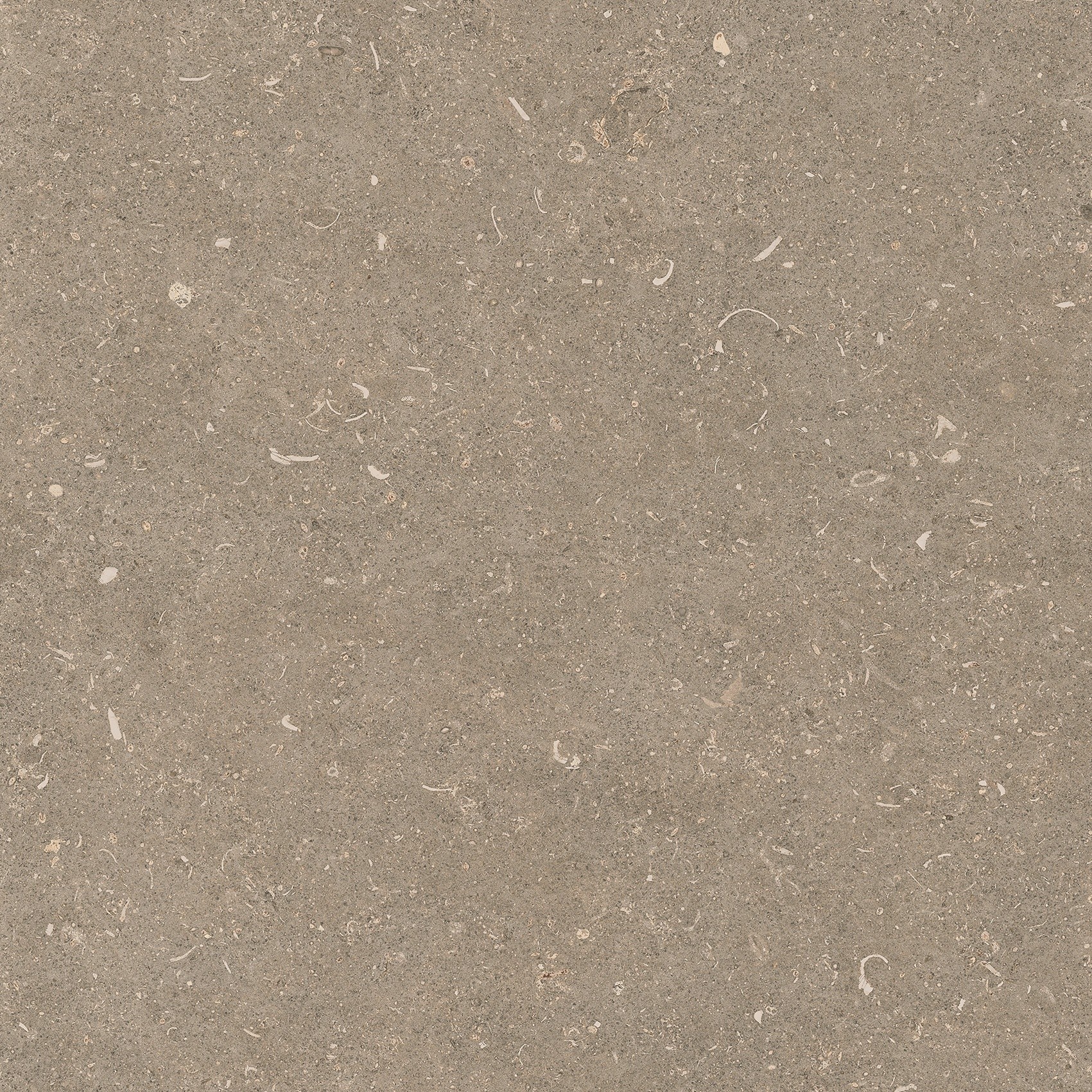 785506 На пол Rinascenza Arena Pietra Grip 20mm 120x120 - фото 5