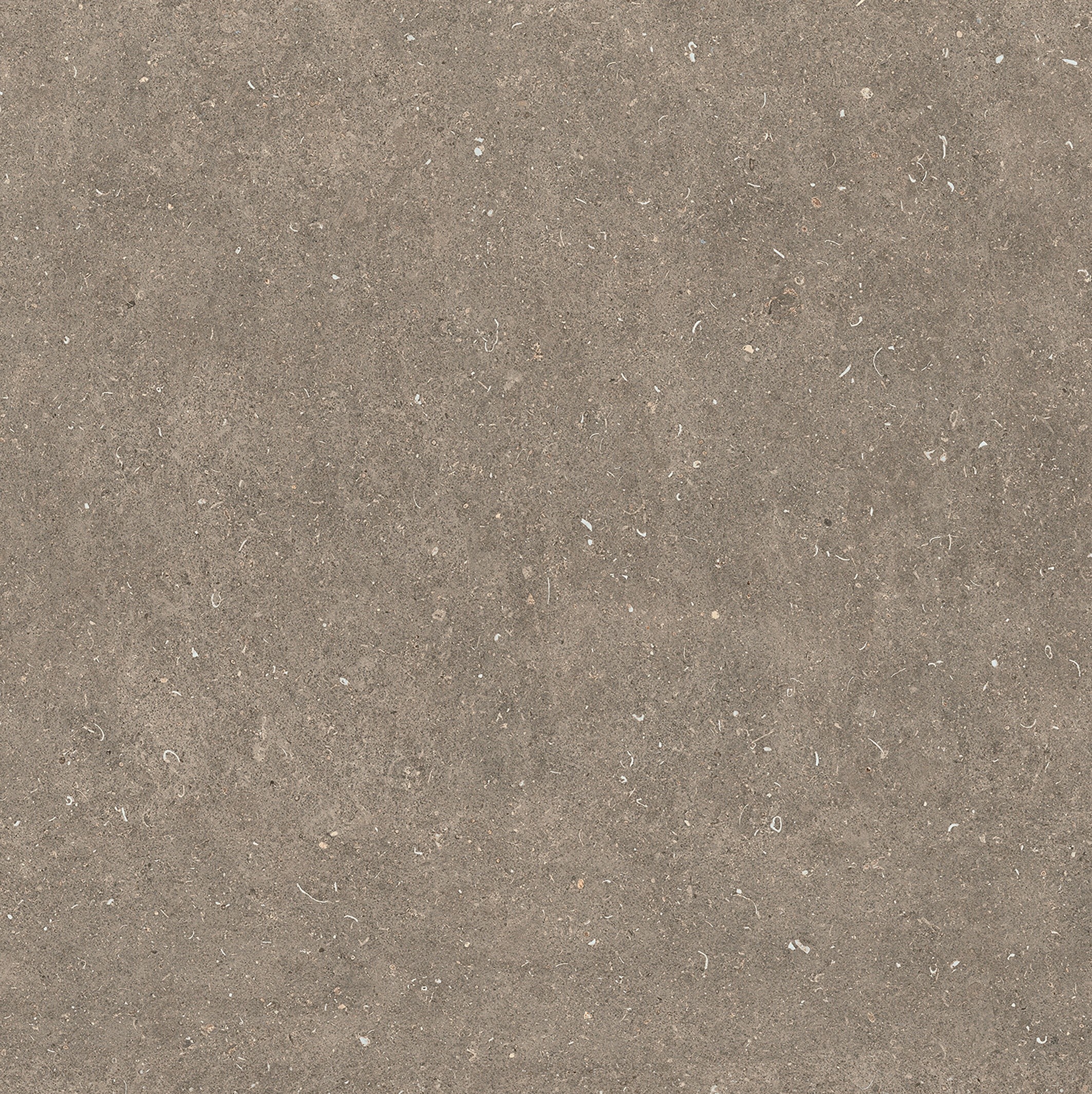 785580 На пол Rinascenza Arena Pietra Matte 6mm 120x120 - фото 6