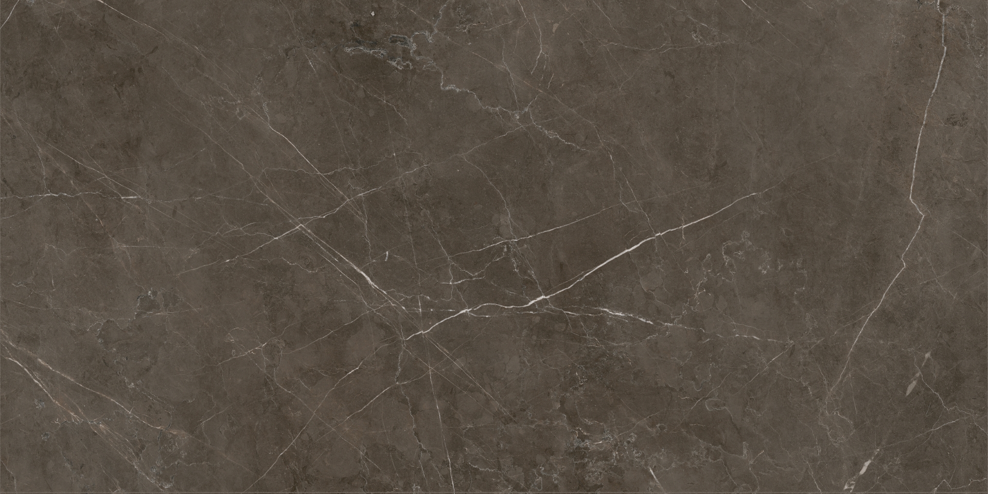 На пол Tessino Bronze Pulido 60x120 - фото 4