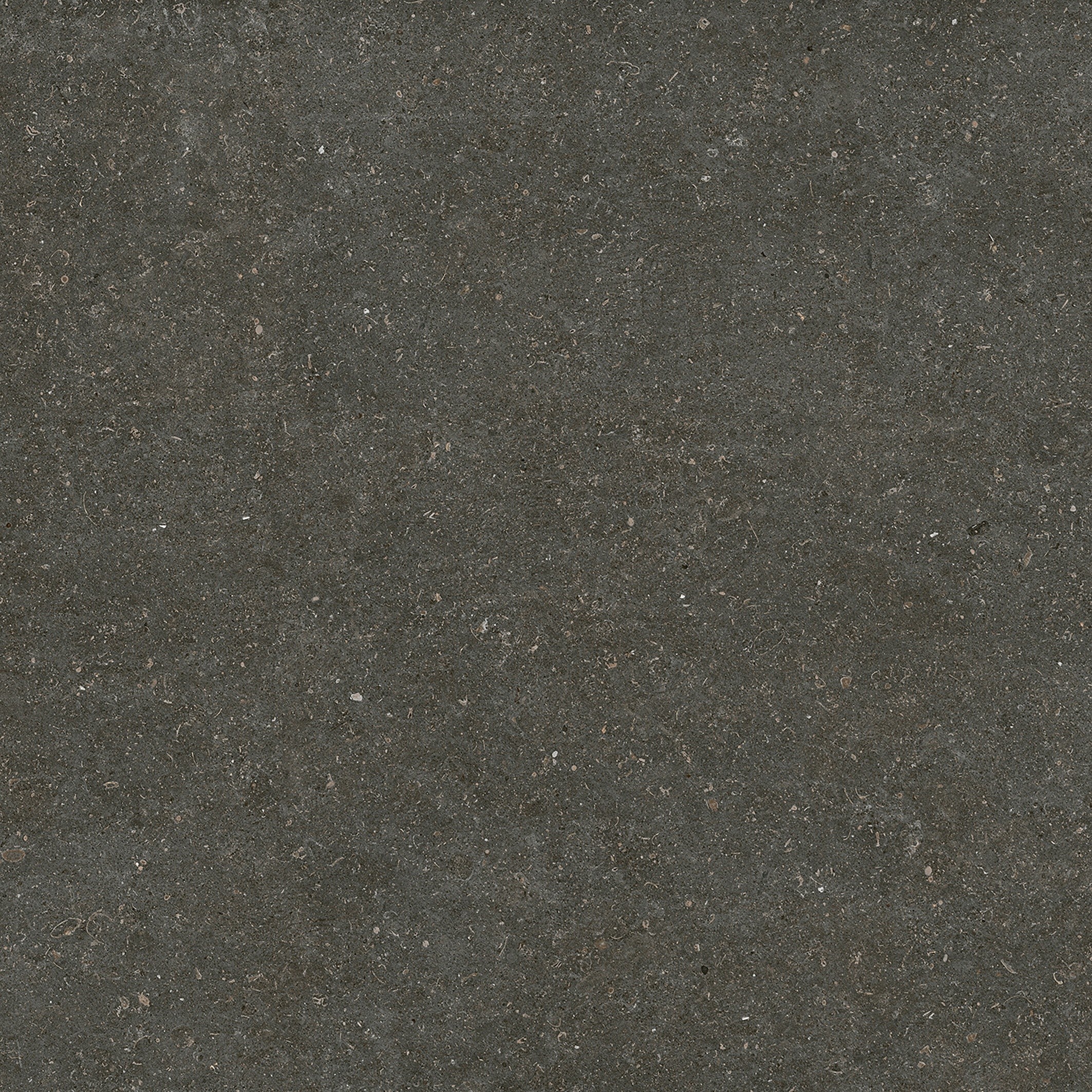 785581 На пол Rinascenza Arena Platino Matte 6mm 120x120 - фото 3