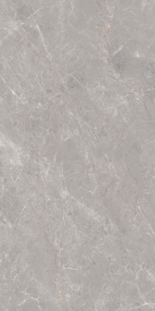 GT1206019601MDGR На пол Anatolia Серый матовый 60x120 - фото 8