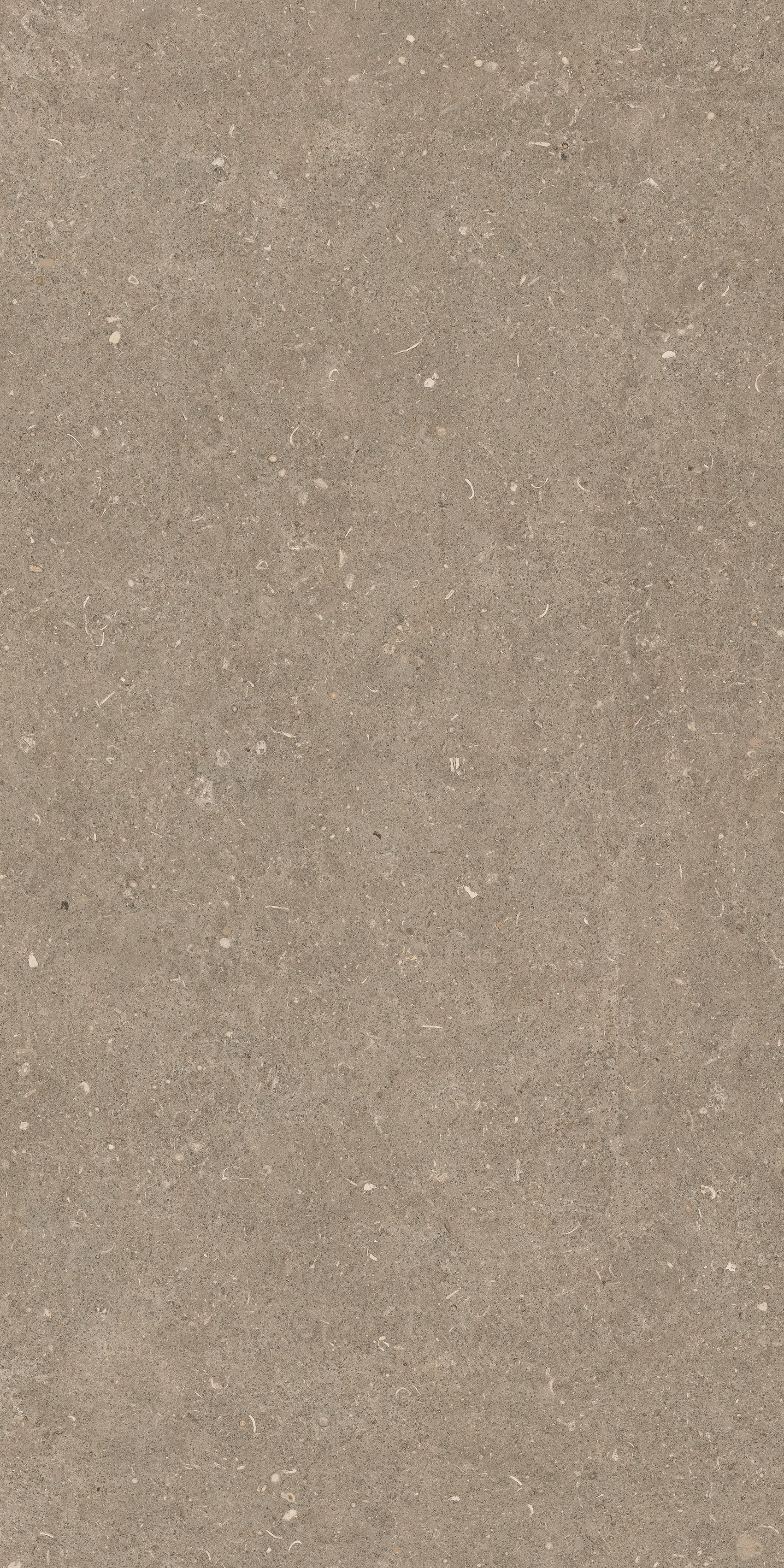 785494 На пол Rinascenza Arena Pietra Grip 60x120 - фото 9