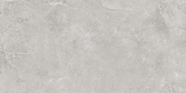 SG50005220R На пол Pluto Silver Светло-Серый 60х119.5 - фото 4