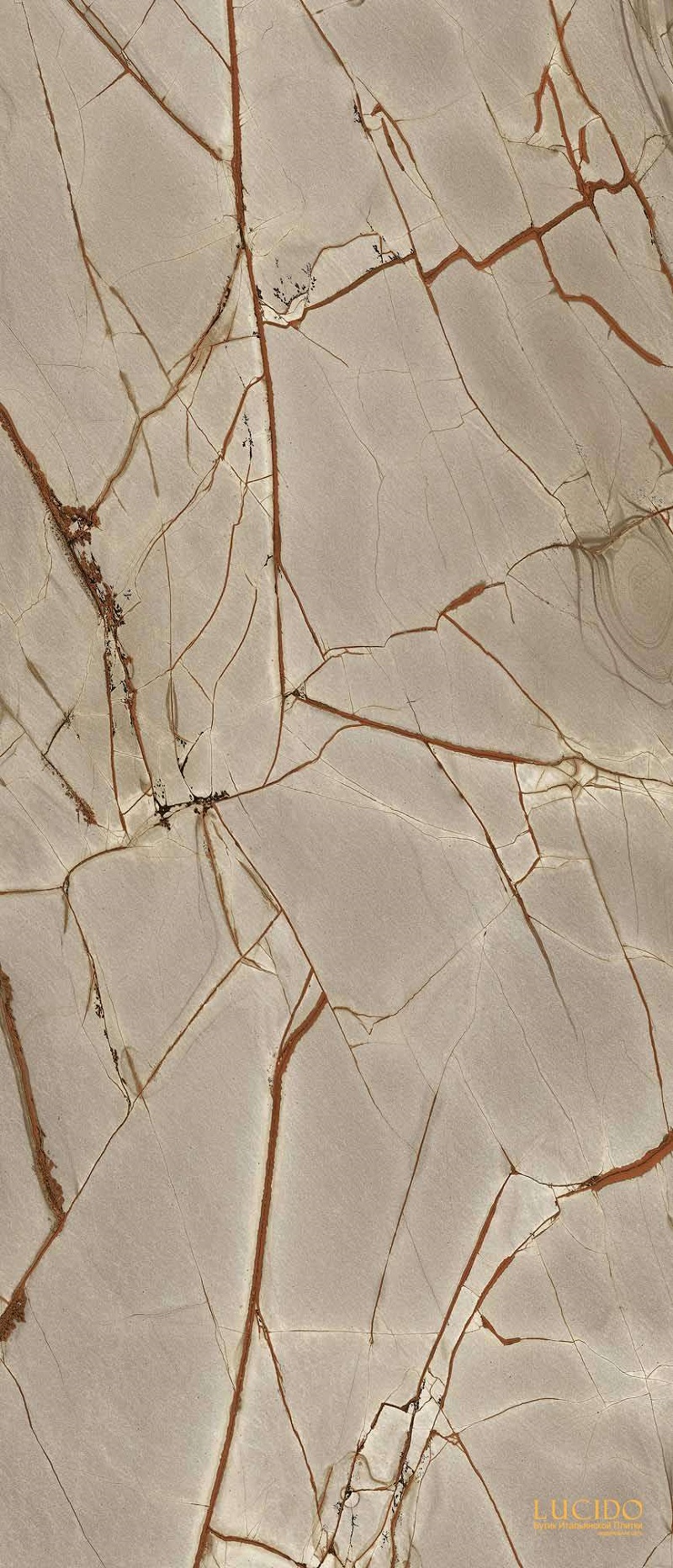 774717 На пол Nature Mood Rainforest Glossy RT 6mm 120x280