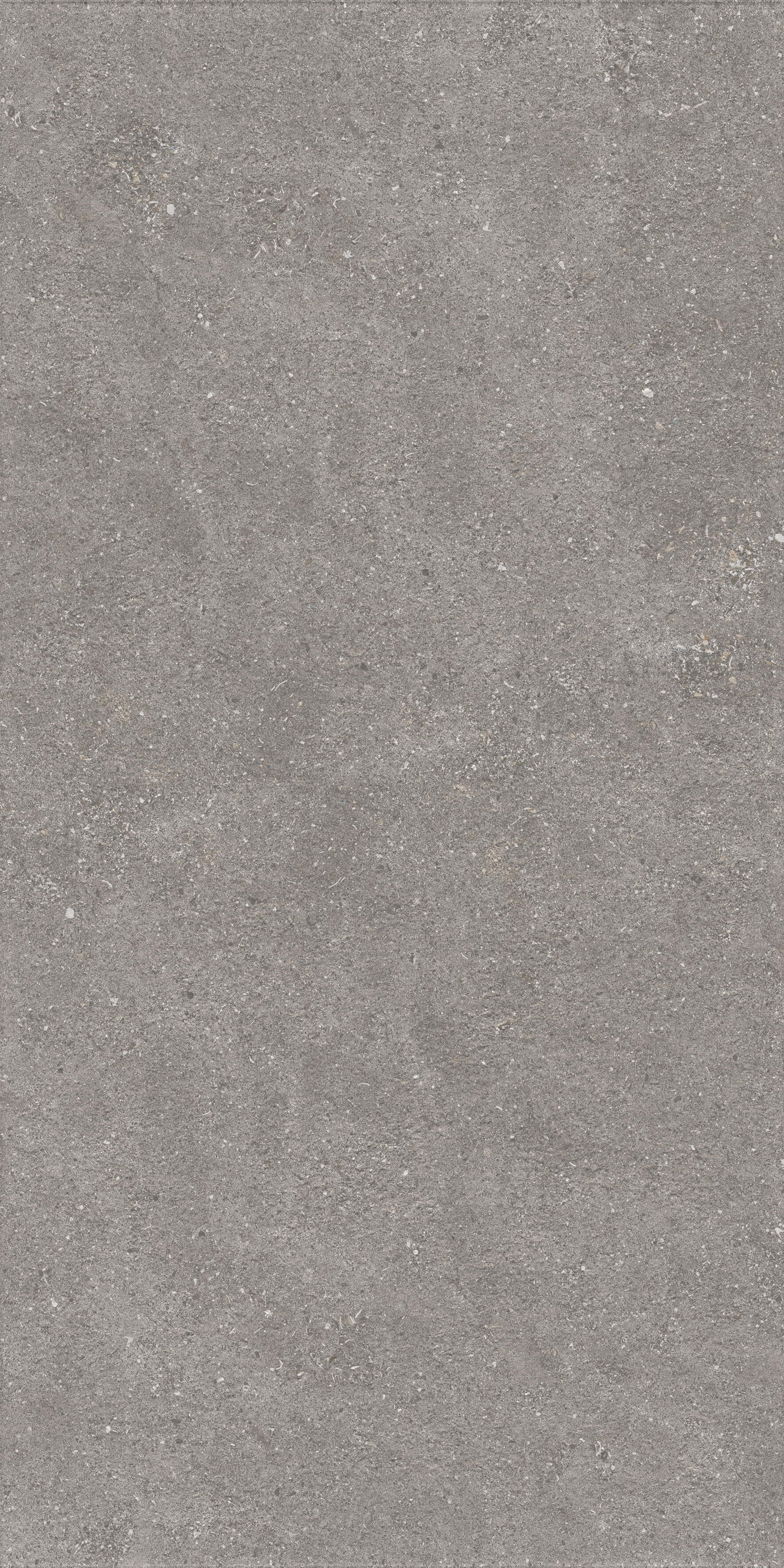 1224 На пол Stone Graniti Grey Matt Ghr 120x60 - фото 6