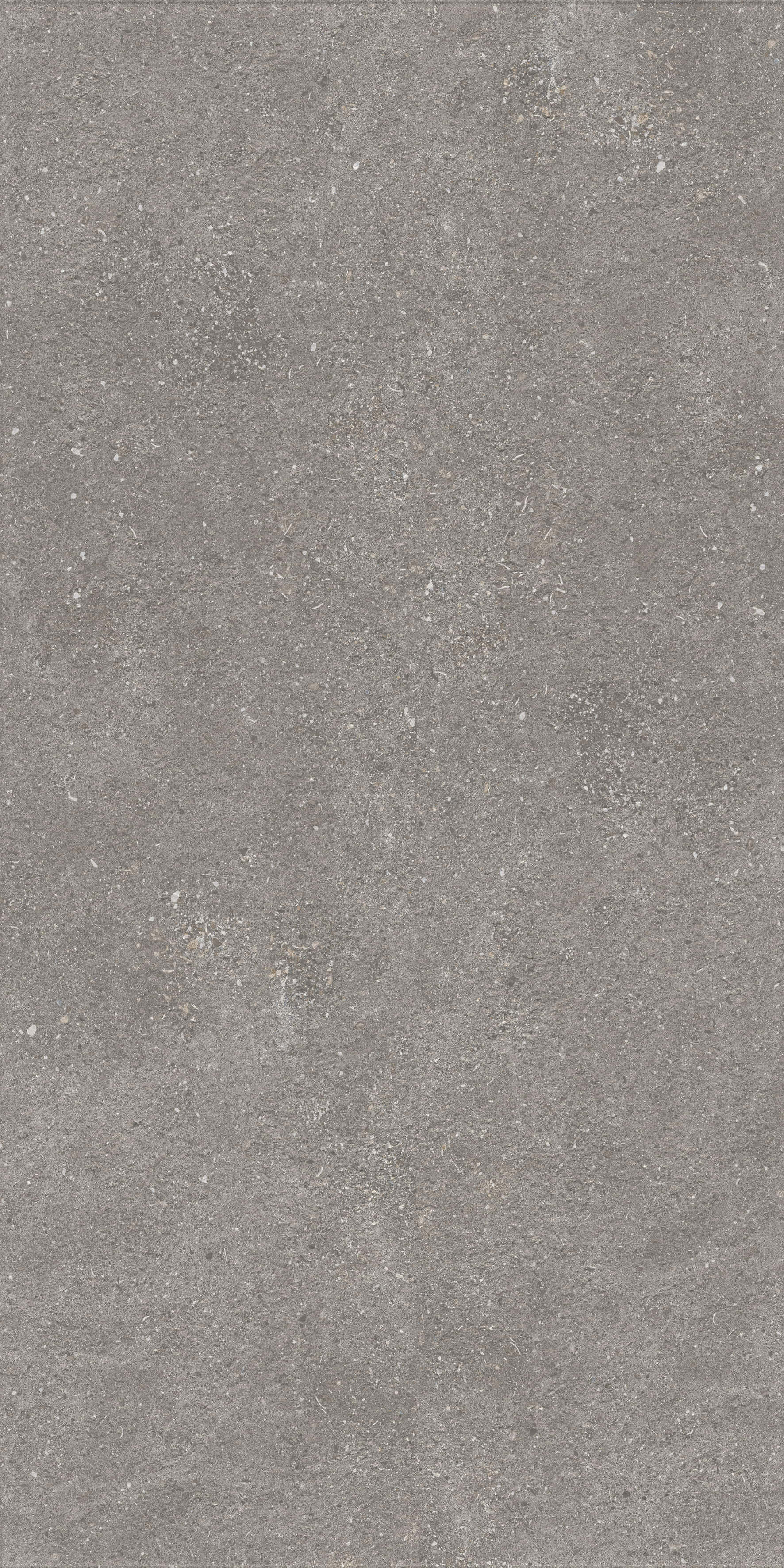1224 На пол Stone Graniti Grey Matt Ghr 120x60 - фото 7