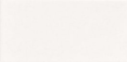 PT01946 На стену Plus Bissel Blanco Liso Brillo 10x20 - фото 2