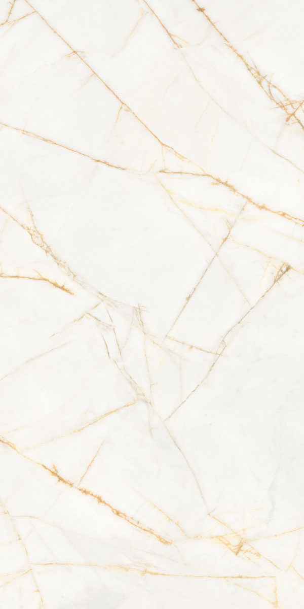 PF60017518 На пол Supreme Hedonism Golden Spider Nat R 60x120 - фото 11