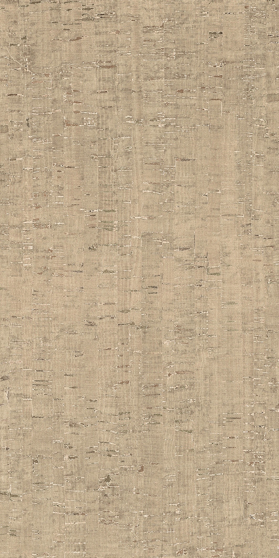 785592 На пол Rinascenza Modulo Conchiglia Matte 6mm 60x120 - фото 2