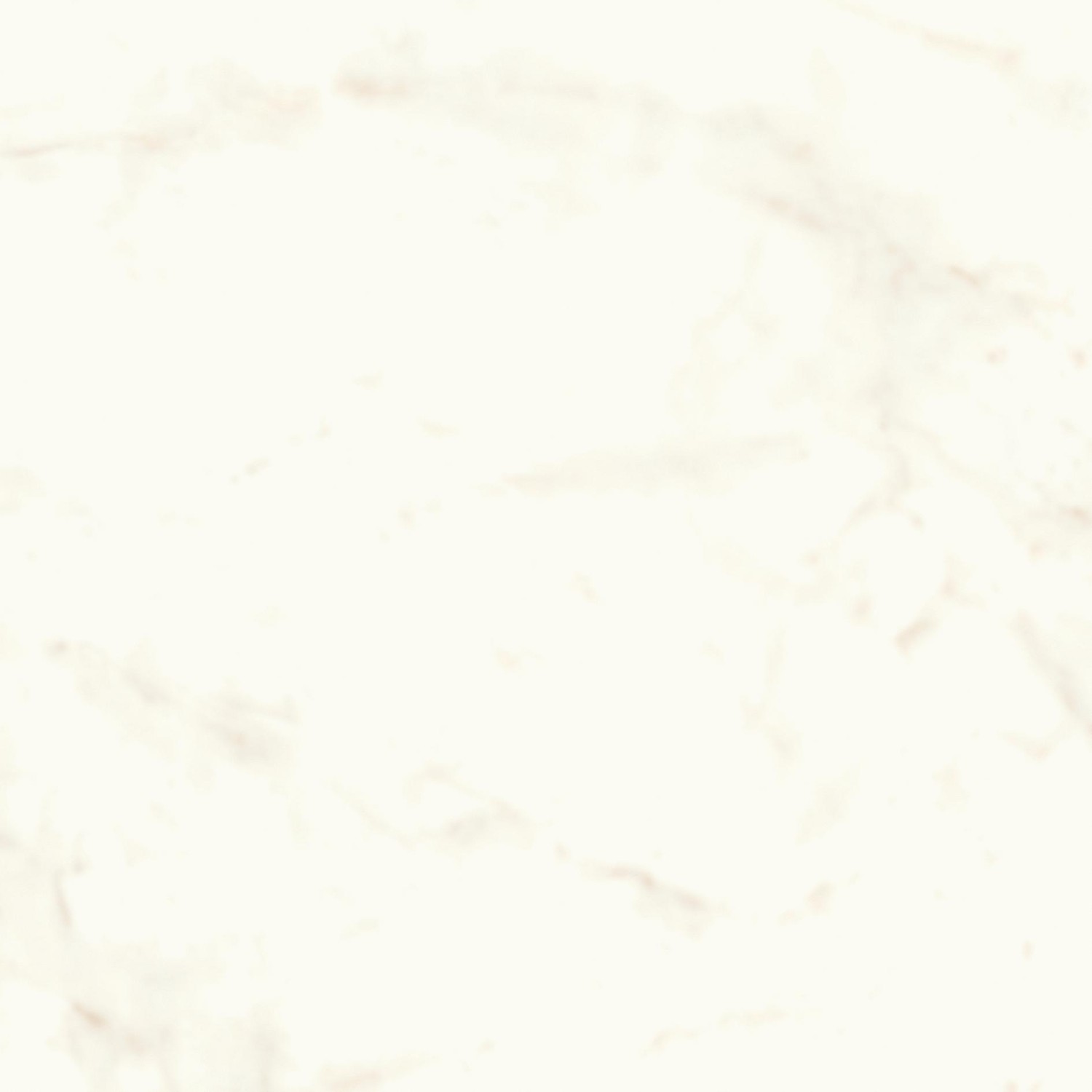 A3W1 На пол Marvel shine Calacatta Delicato Silk 75x75 - фото 2