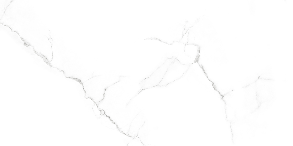 RP-238587  Calacatta Lite Satin 60x120 - фото 6