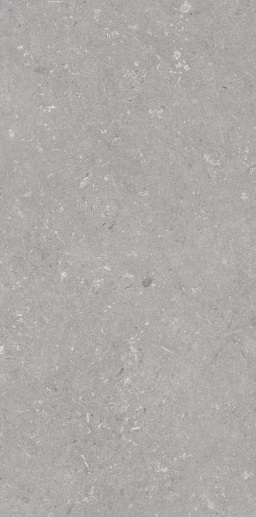 005485 На пол Shellstone Grigio 60x120 - фото 3