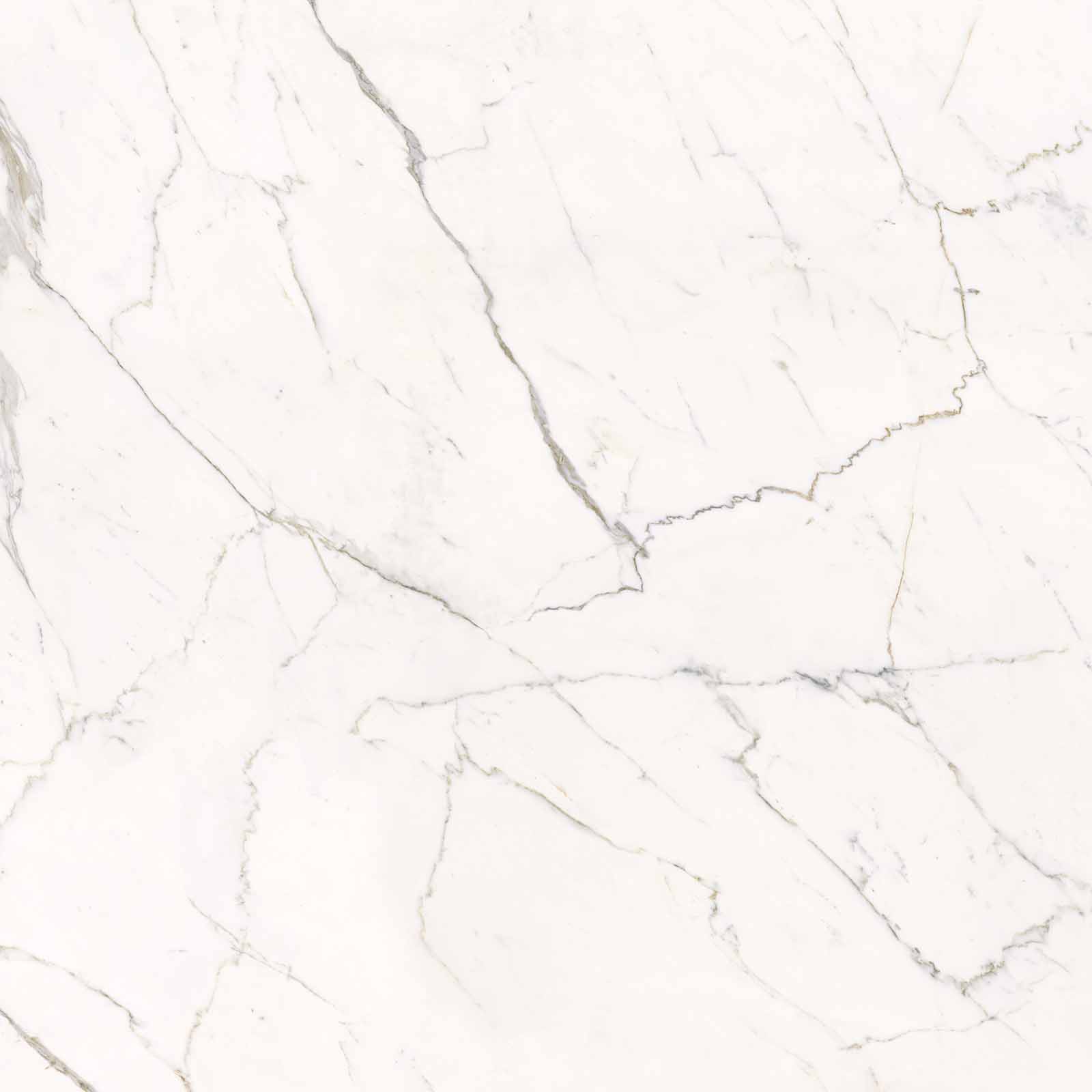 59A2 На пол Elements Lux Calacatta Statuarietto Lappato RT 120x120 - фото 4