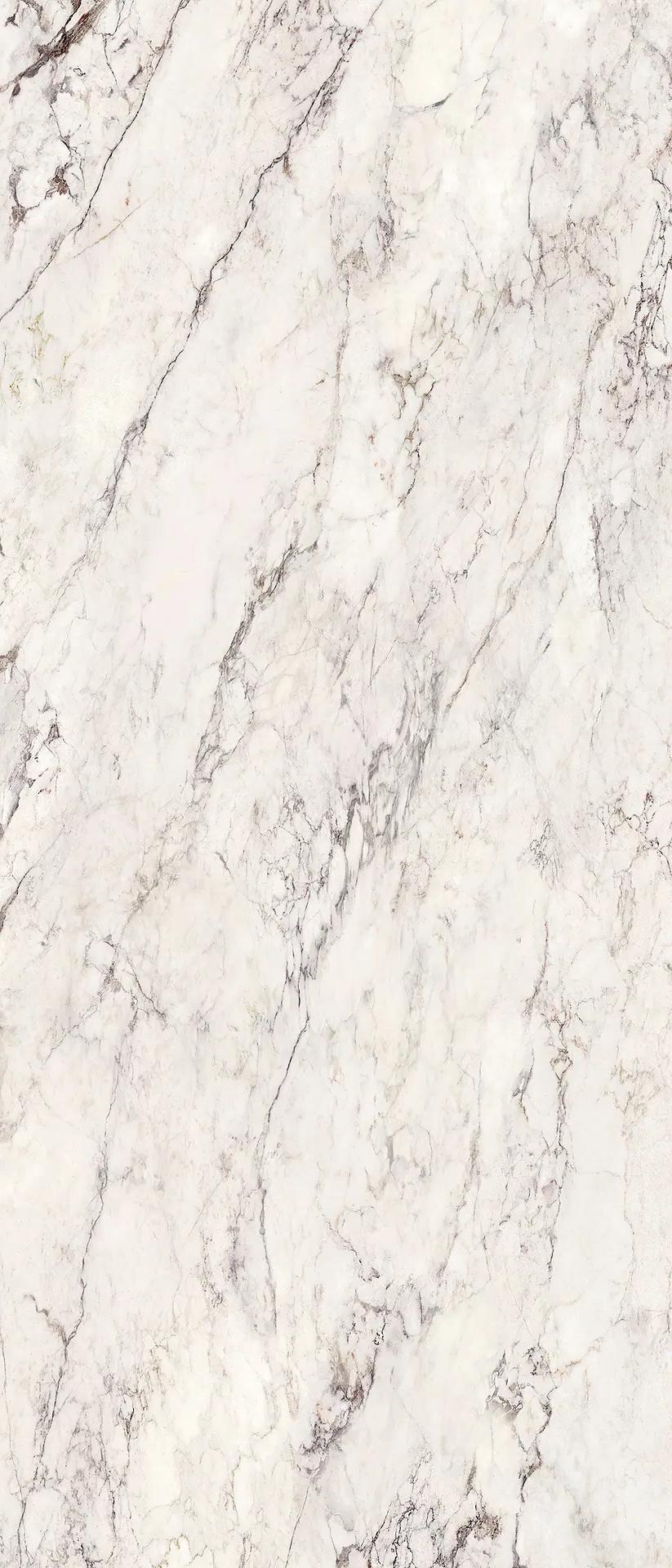 274001 На пол Breccia Capraia Nat Ret 120x280 - фото 4