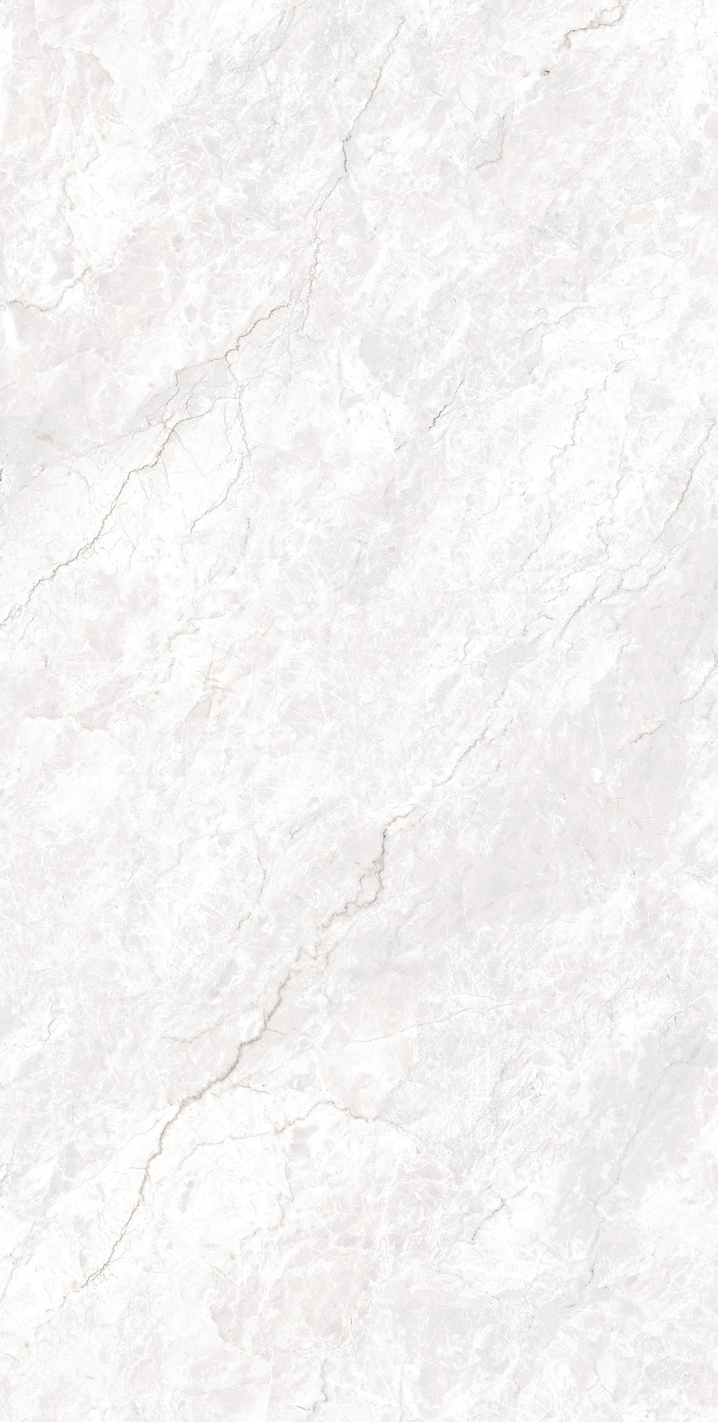 CZ-GL05-B На пол Ferrol White Matt Glossy Ink 80x160 - фото 2