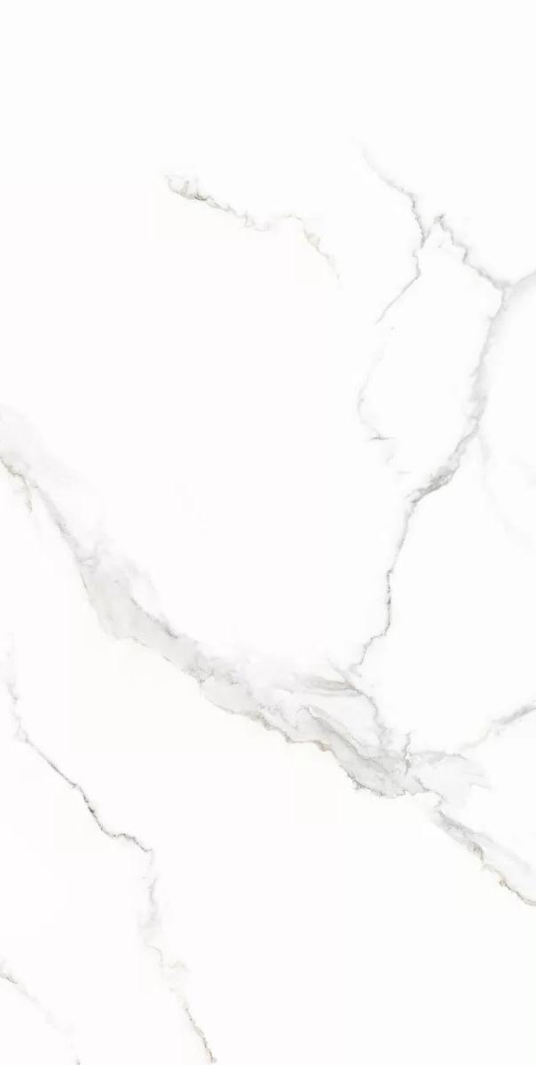 6493-0139 На пол Иней / Inei Белый 60х120 - фото 6