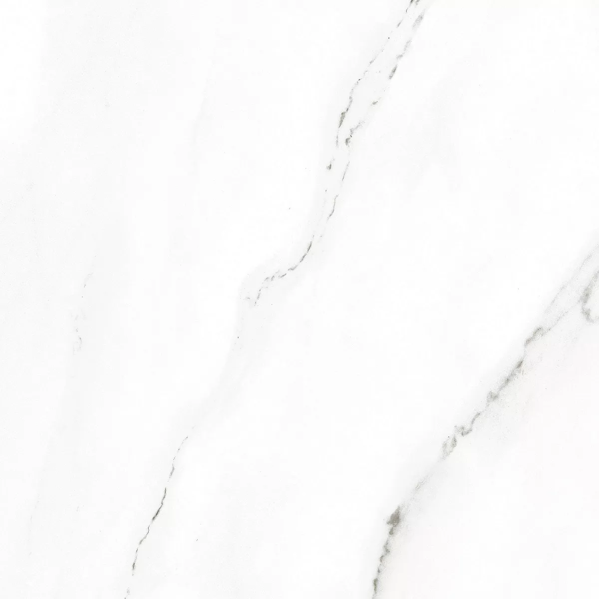 E-3010/MR/600x600x9 На пол Harmony Белый ректификат 600x600x9 - фото 4