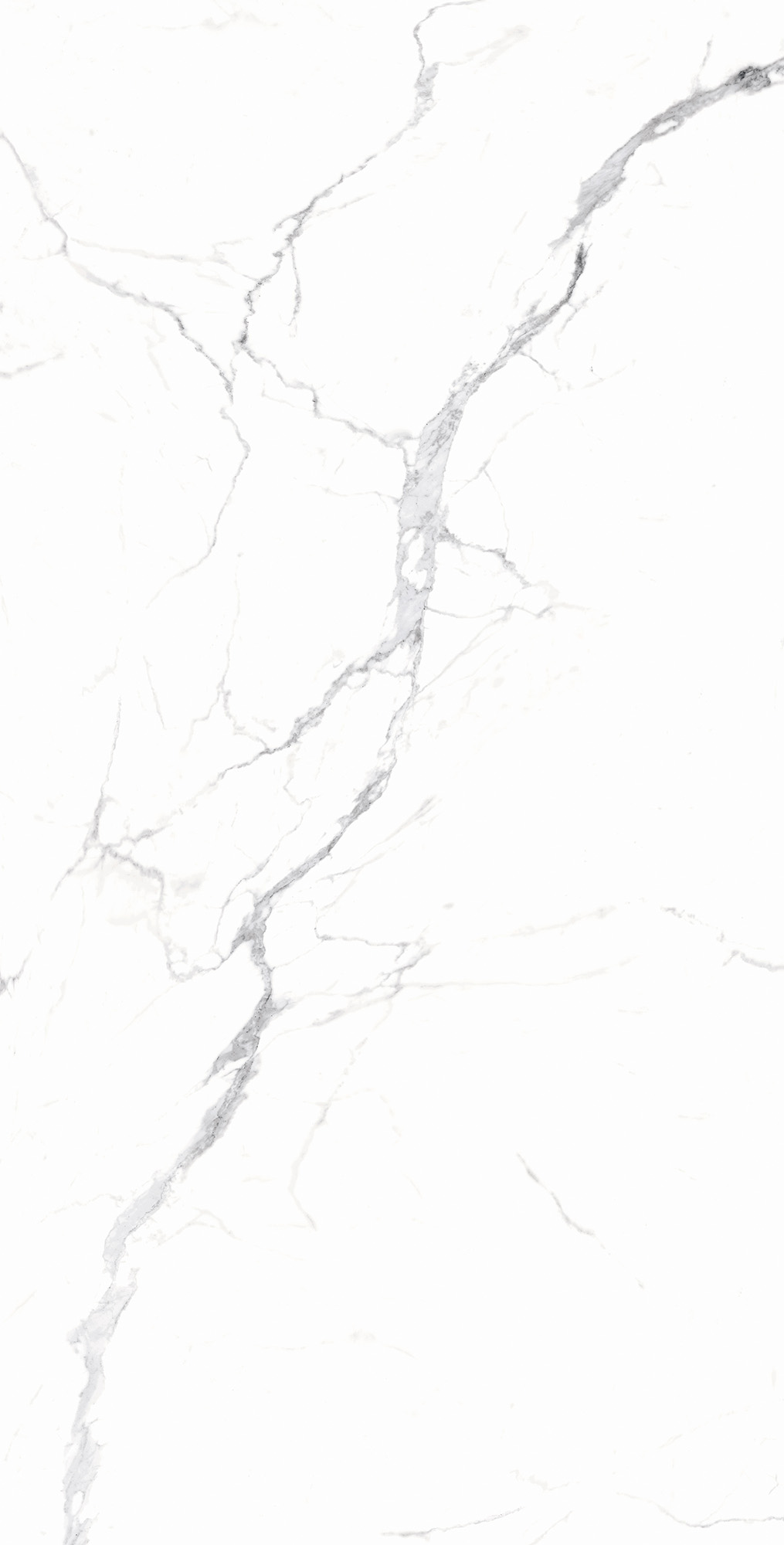 RT7018-A На пол Carrara White Matt Rustic 60x120 - фото 3