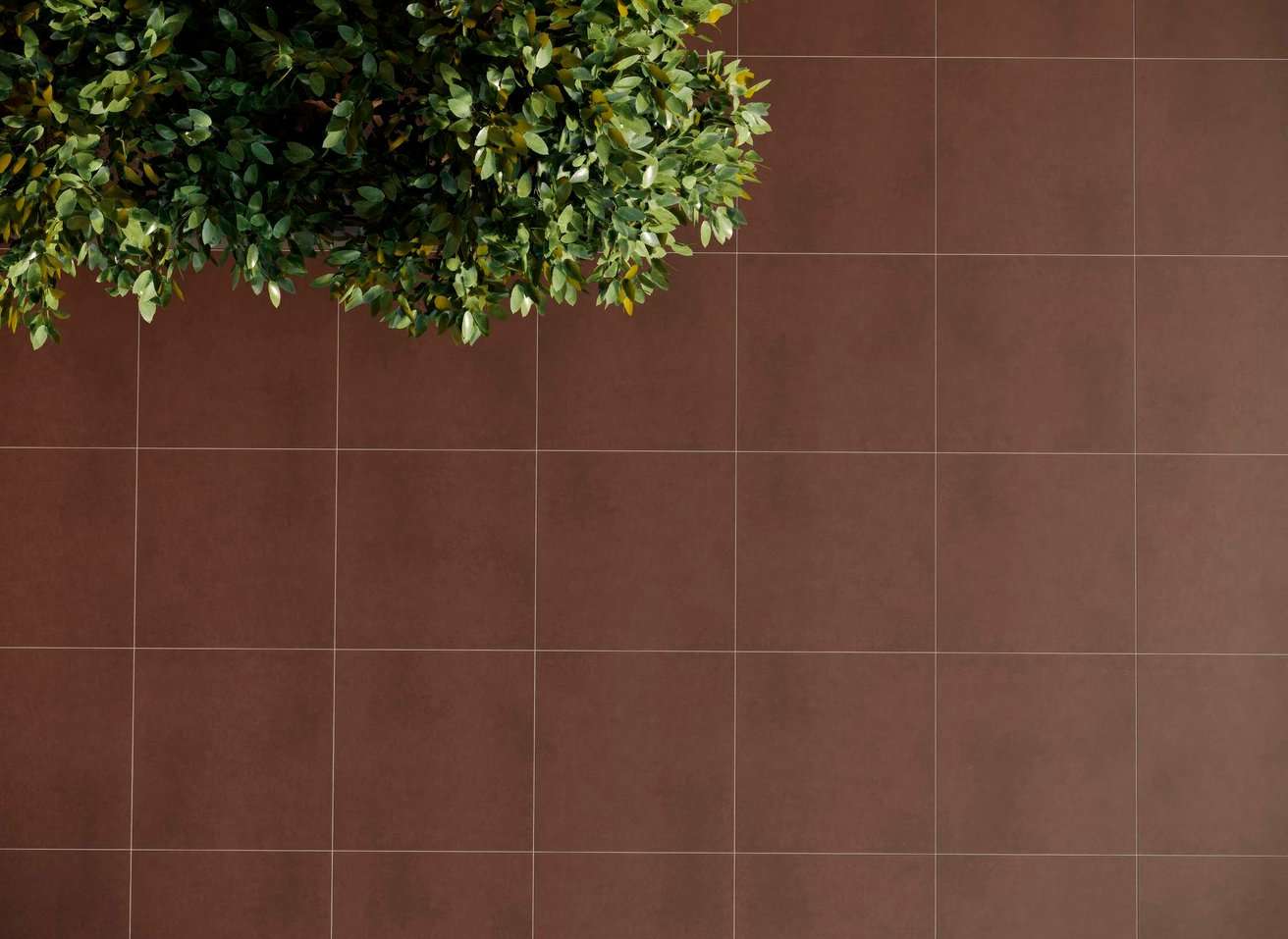 Эстима Cave - фото 13