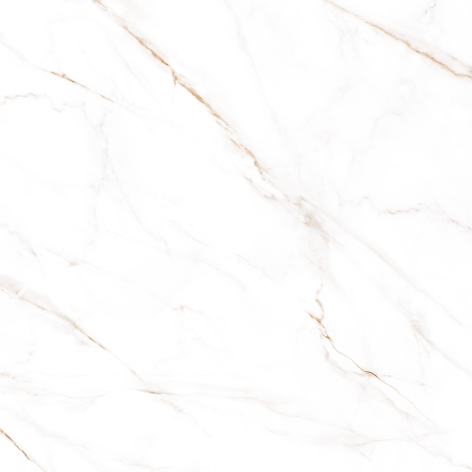 GFU04NCL04R На пол Neo Calacatta Матовый 04R 600x600x9.5 - фото 6