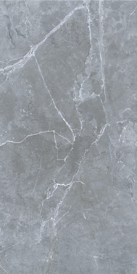 GRS02-12 На пол Petra Northen Silver 120x60 - фото 4