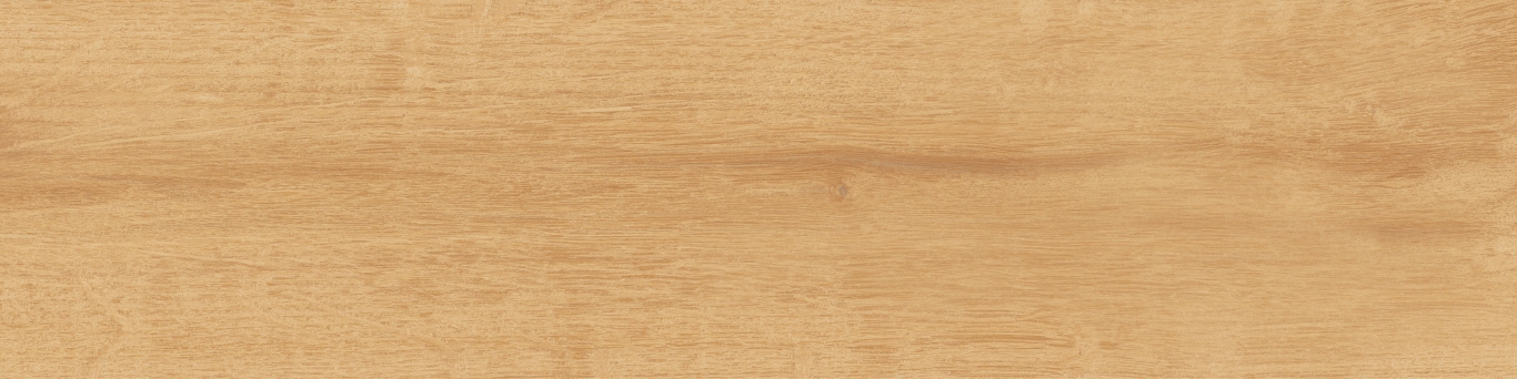 KM1040G0011N На пол Аргания Бежевый матовый 9.9x40.2x0.8 - фото 5