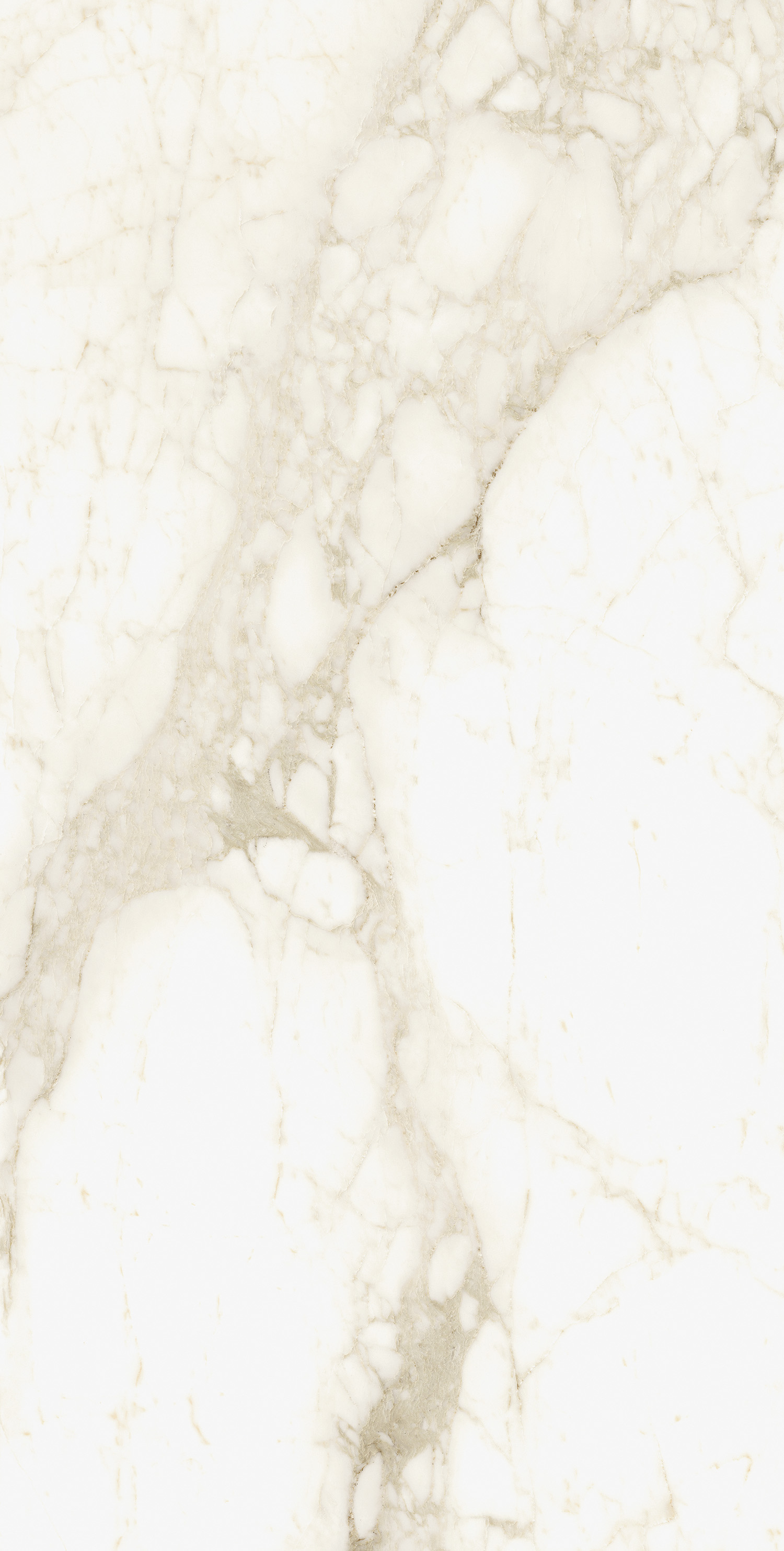 610010002745 На пол Michelangelo Ворм 60x120 - фото 5