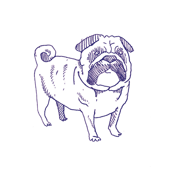 4101303 Декор Stories Eddie Matte 10x10 - фото 15