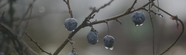 OS/A120/9016 Декор Тракай Dec. 8 глянцевый