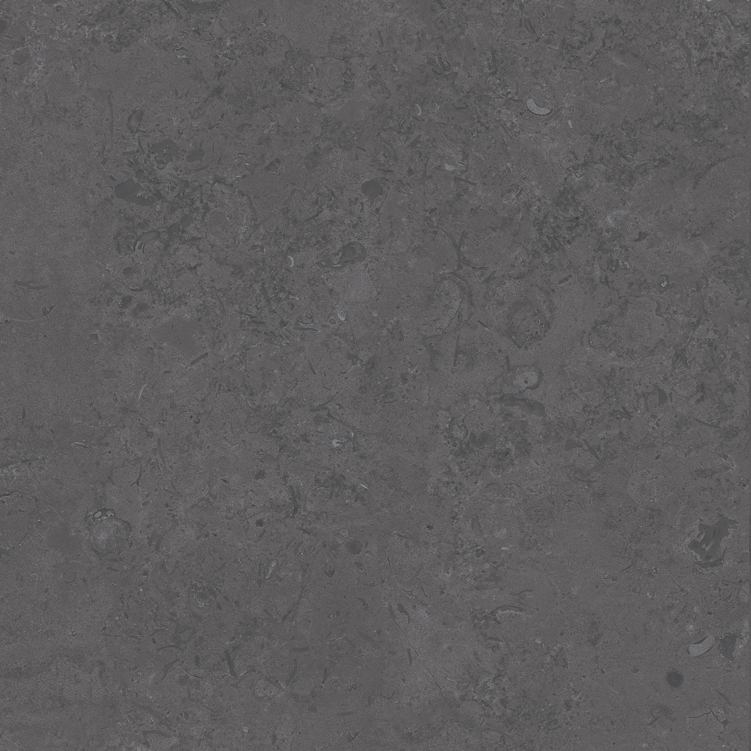 DD640820R На пол Про Лаймстоун Серый темный 9мм 60х60 - фото 4