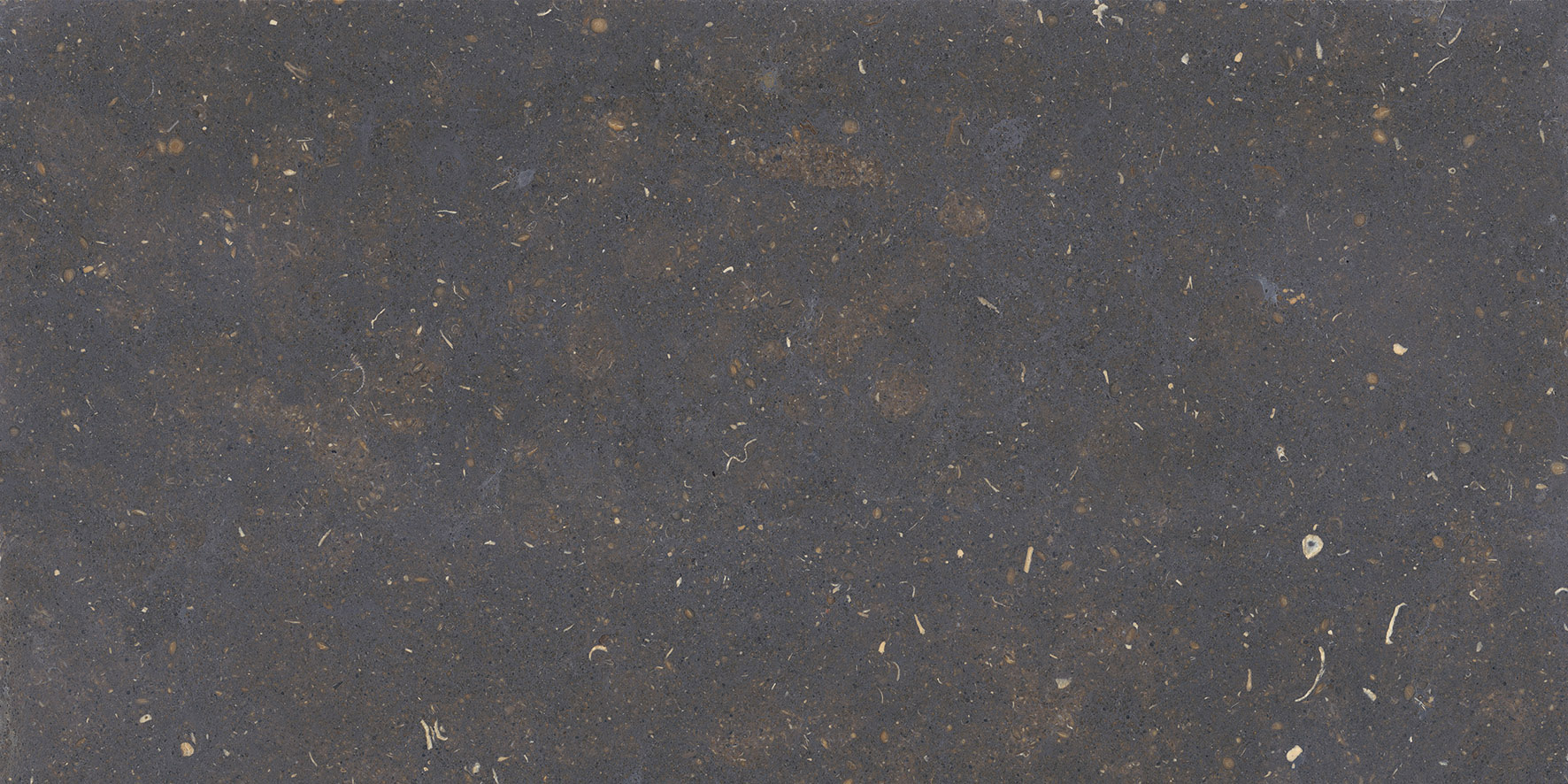 096.022.0215.00206 На пол Dover Nero MT Rect 60x120