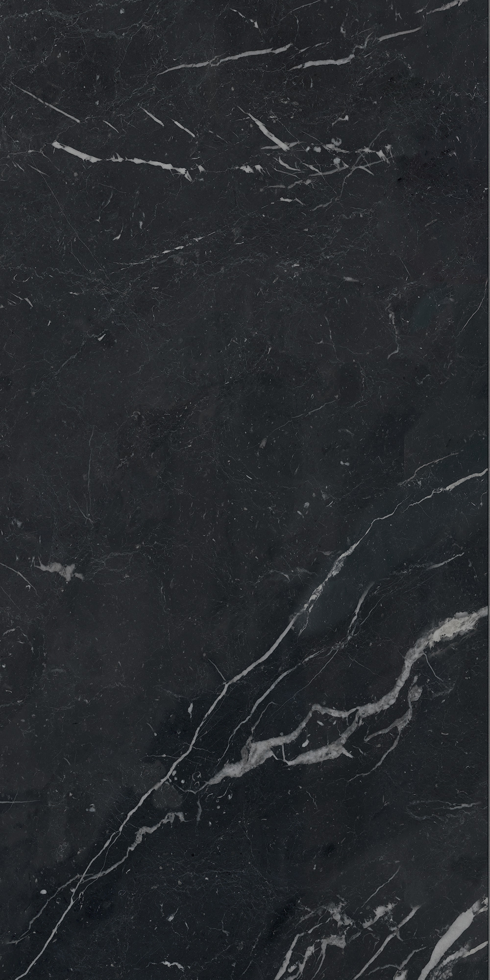 AGB7 На пол Anima Futura Unique Black Luc 60x120 - фото 8