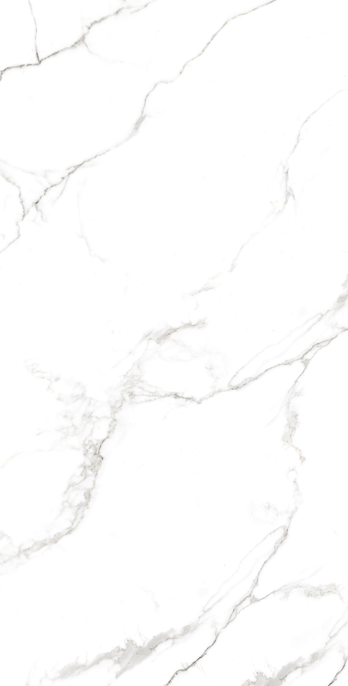 FP1039-A На пол Statuario Fine Full Polished 60x120