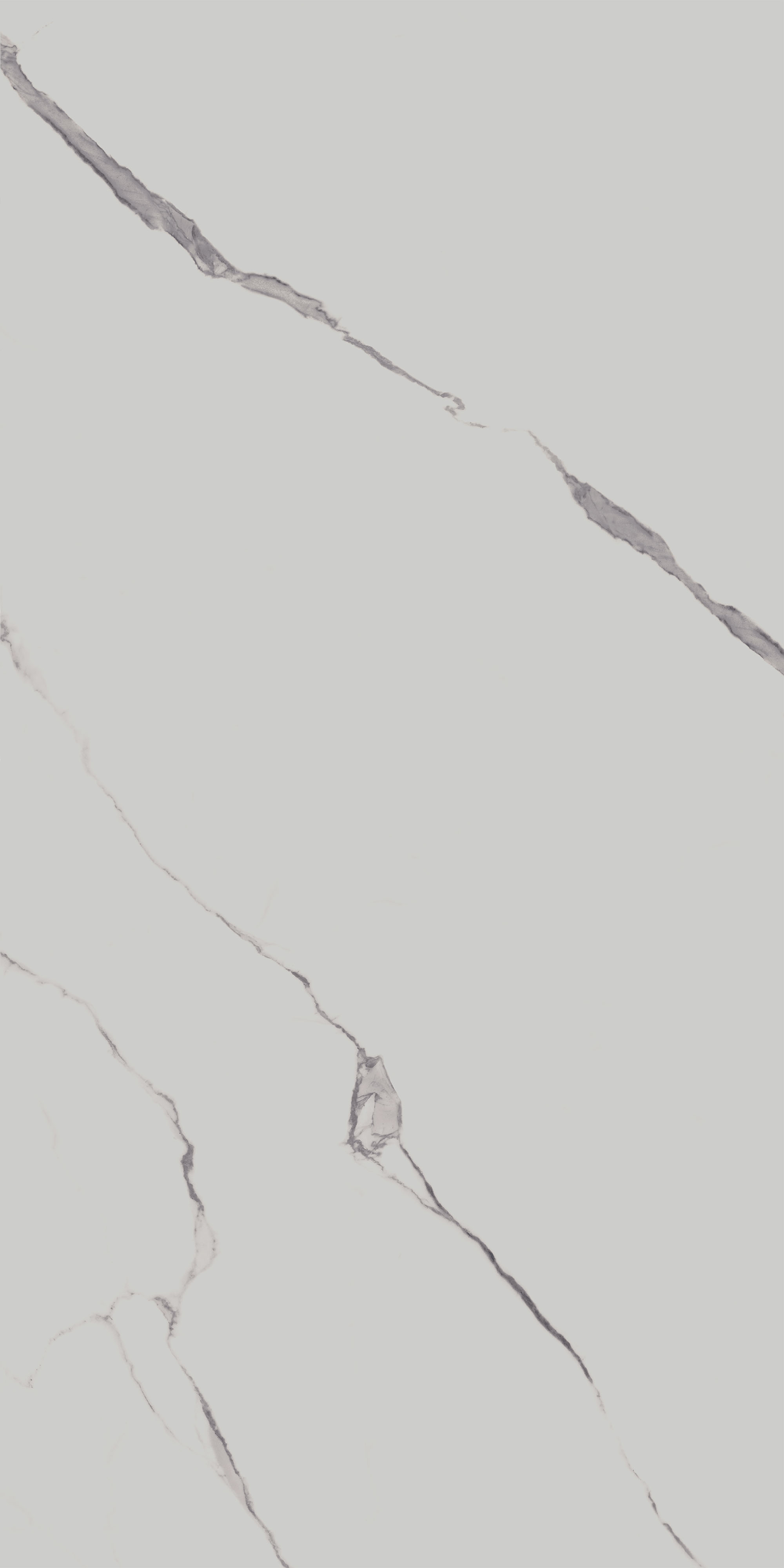 SG572190R Напольный Монте Тиберио Белый матовый обрезной 80x160x0.9 - фото 5