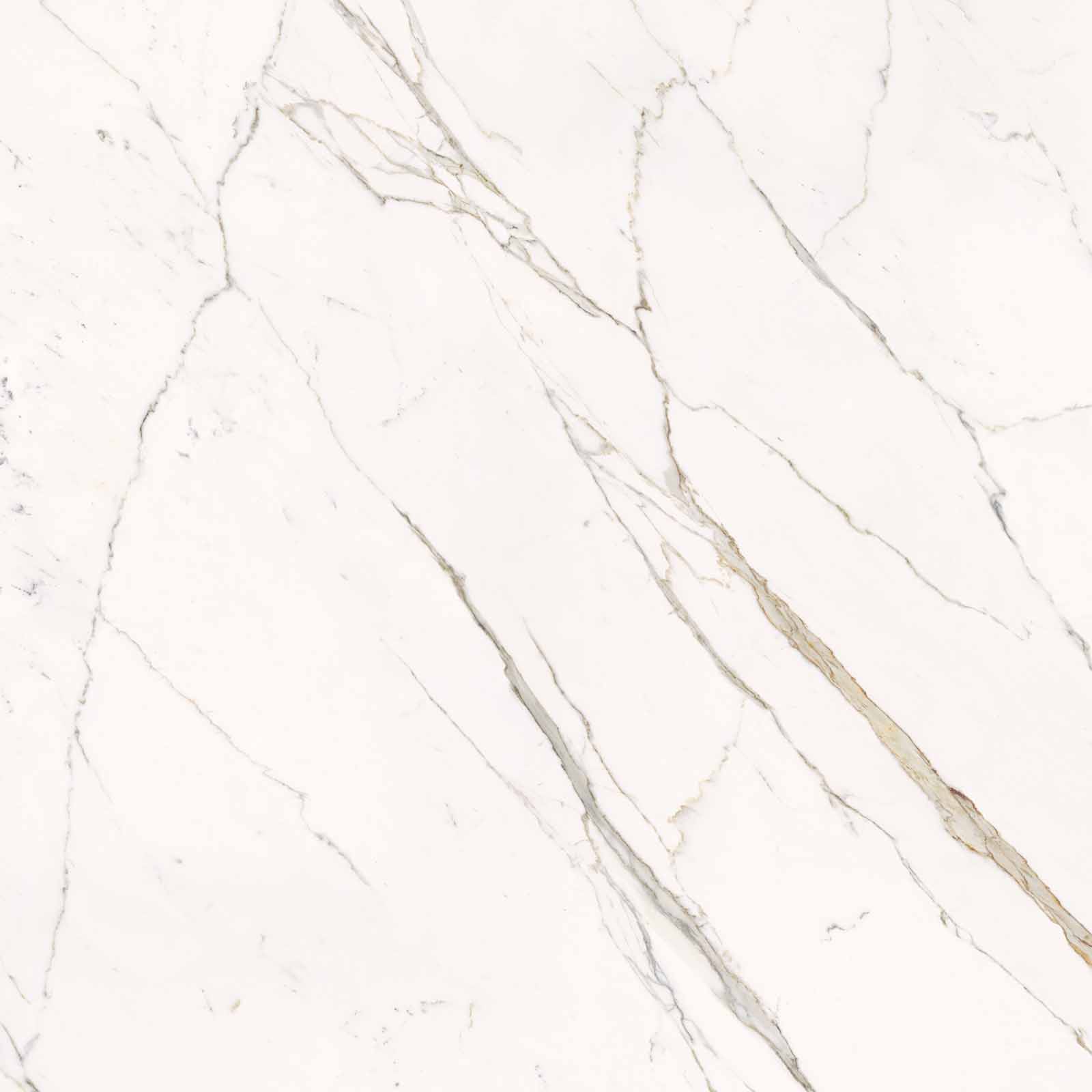 59A2 На пол Elements Lux Calacatta Statuarietto Lappato RT 120x120 - фото 7