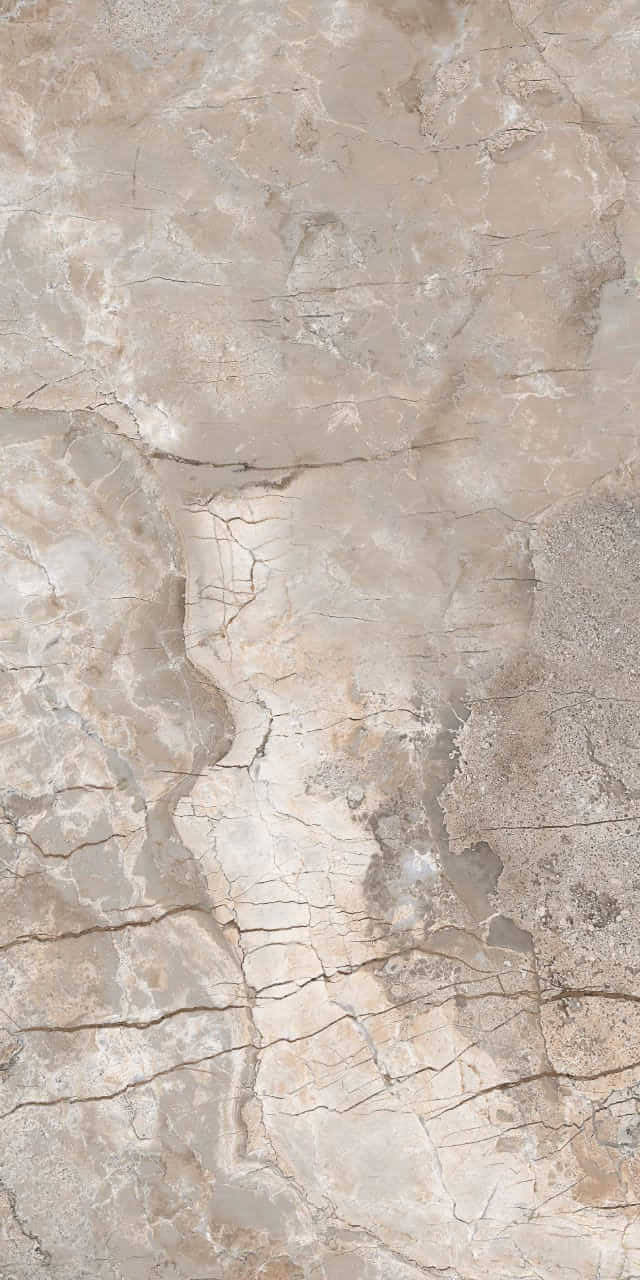 656 На пол Eco Marble 9mm Breccia Primavera 120x60