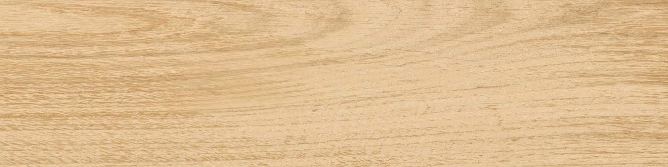 KM1040G0011N На пол Аргания Бежевый матовый 9.9x40.2x0.8 - фото 21