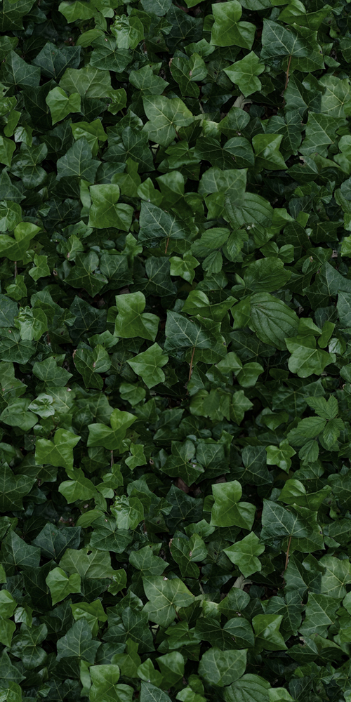 4100155 На стену Paper41 Pro Jane E