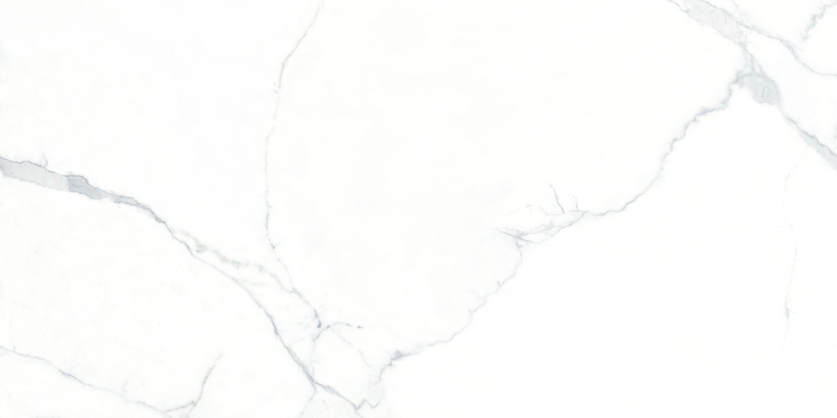 На пол Ogma 80х160 Полированный - фото 6