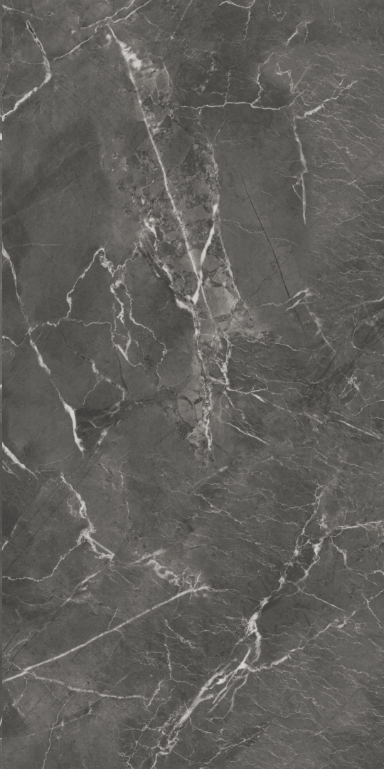 GT1206019809MHRR На пол Oscar Темно-серый матовый 60x120