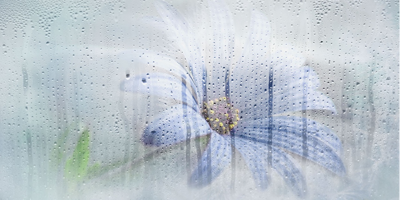 131614 Декор Rosa Деко Синяя - фото 2