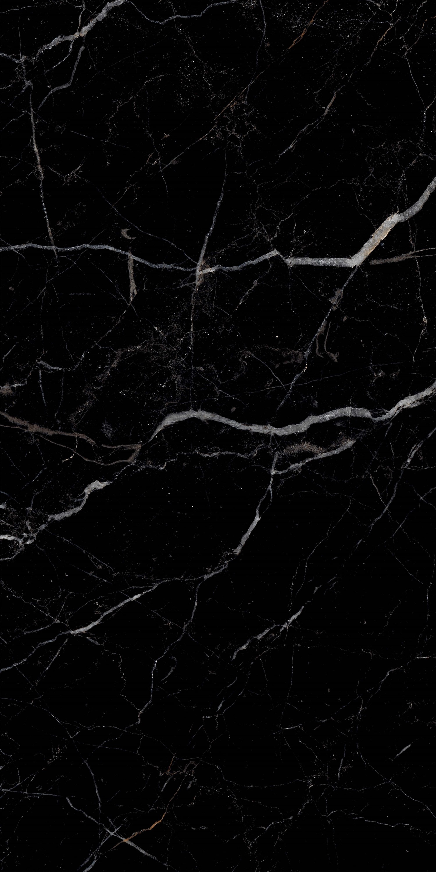 51790 На пол Royal Black Hight glossy 60x120