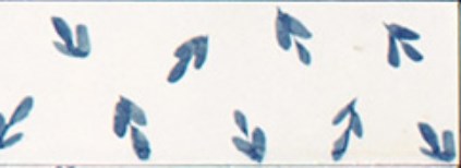 M96T Декор Rice Bianco dec Leaf Lux - фото 6