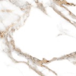 PRO 1131G На пол Oro Bianco Gloss 60x60