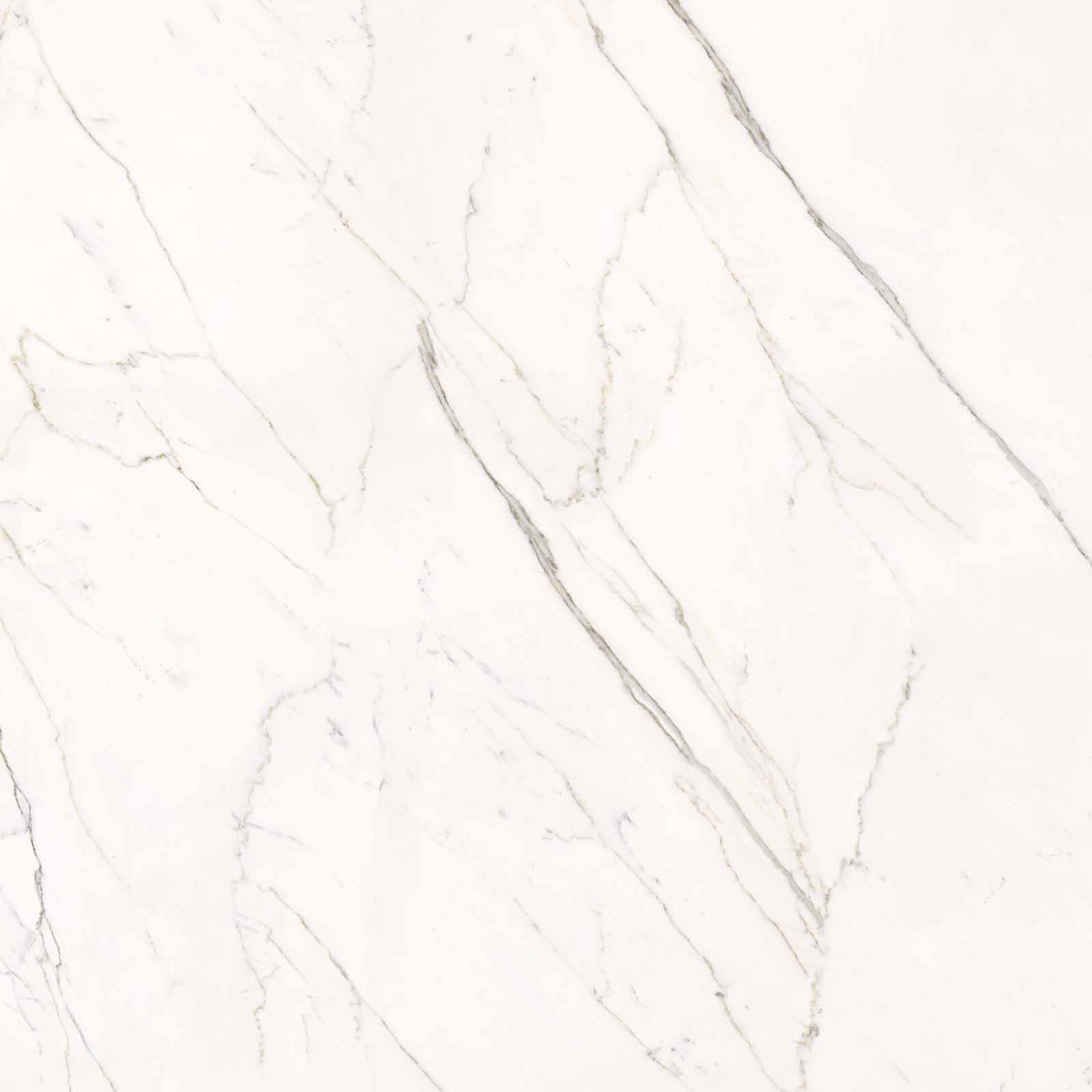 59A2 На пол Elements Lux Calacatta Statuarietto Lappato RT 120x120 - фото 12