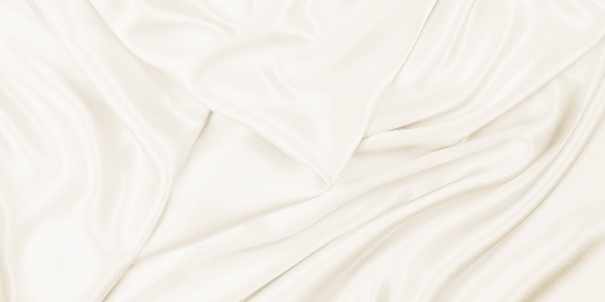 На стену Камелия Светло-бежевый