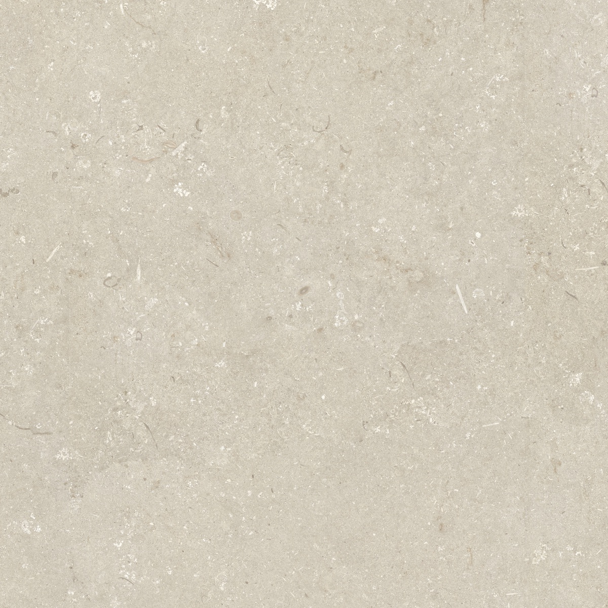 005848 На пол Shellstone Beige 120x120 - фото 5