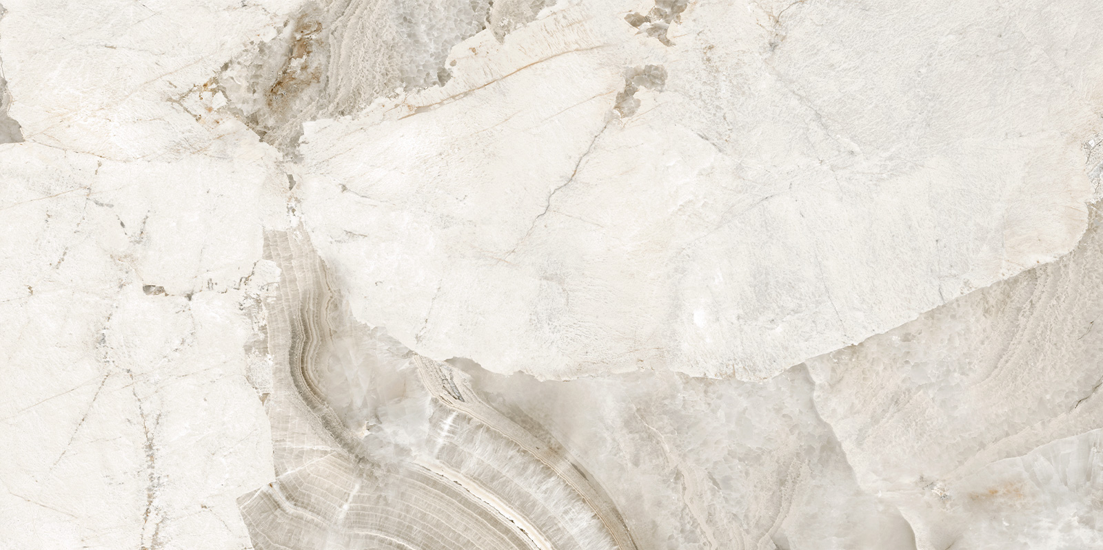 D120256LG На пол Seashell Лаппатированный граниль 600x1200x9.5 - фото 10